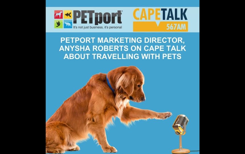 Video Thumbnail: PETPORT safe and comfortable journeys with Cape Talk